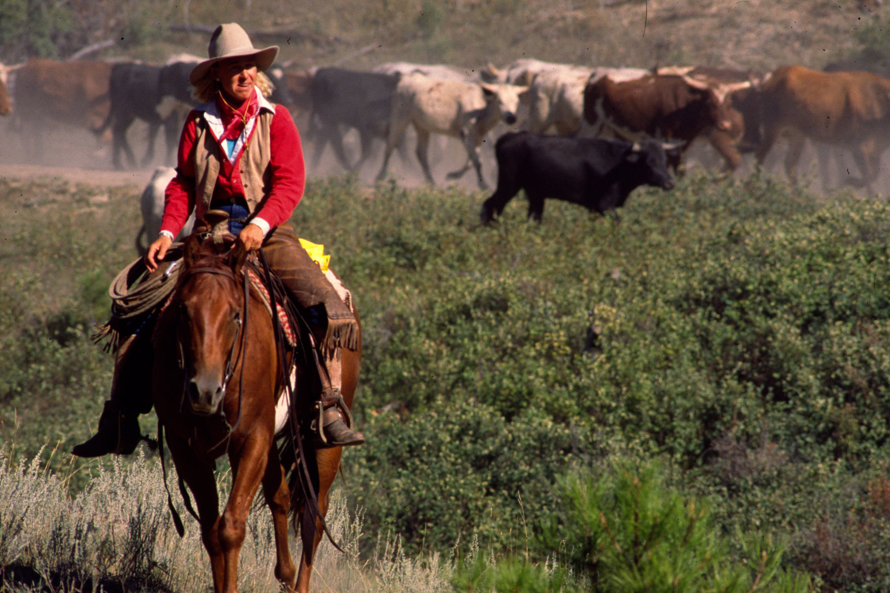 Great Montana Centennial Cattle Drive